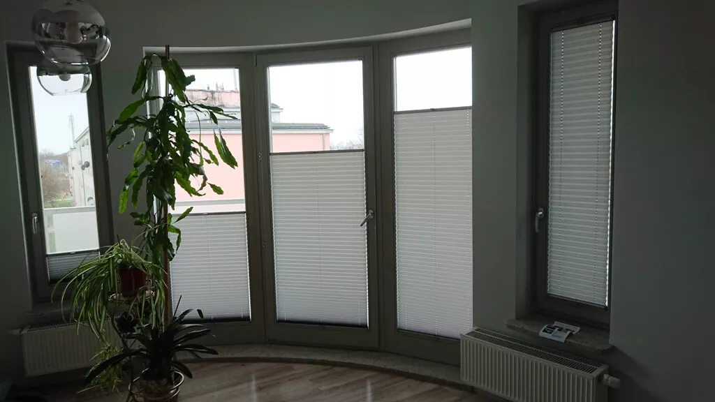 deżal poznań PLISY