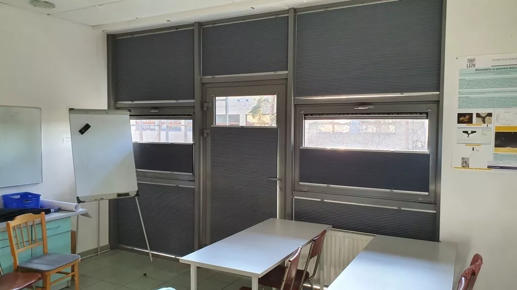 deżal poznań PLISY